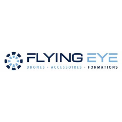 Logo Flying Eye
